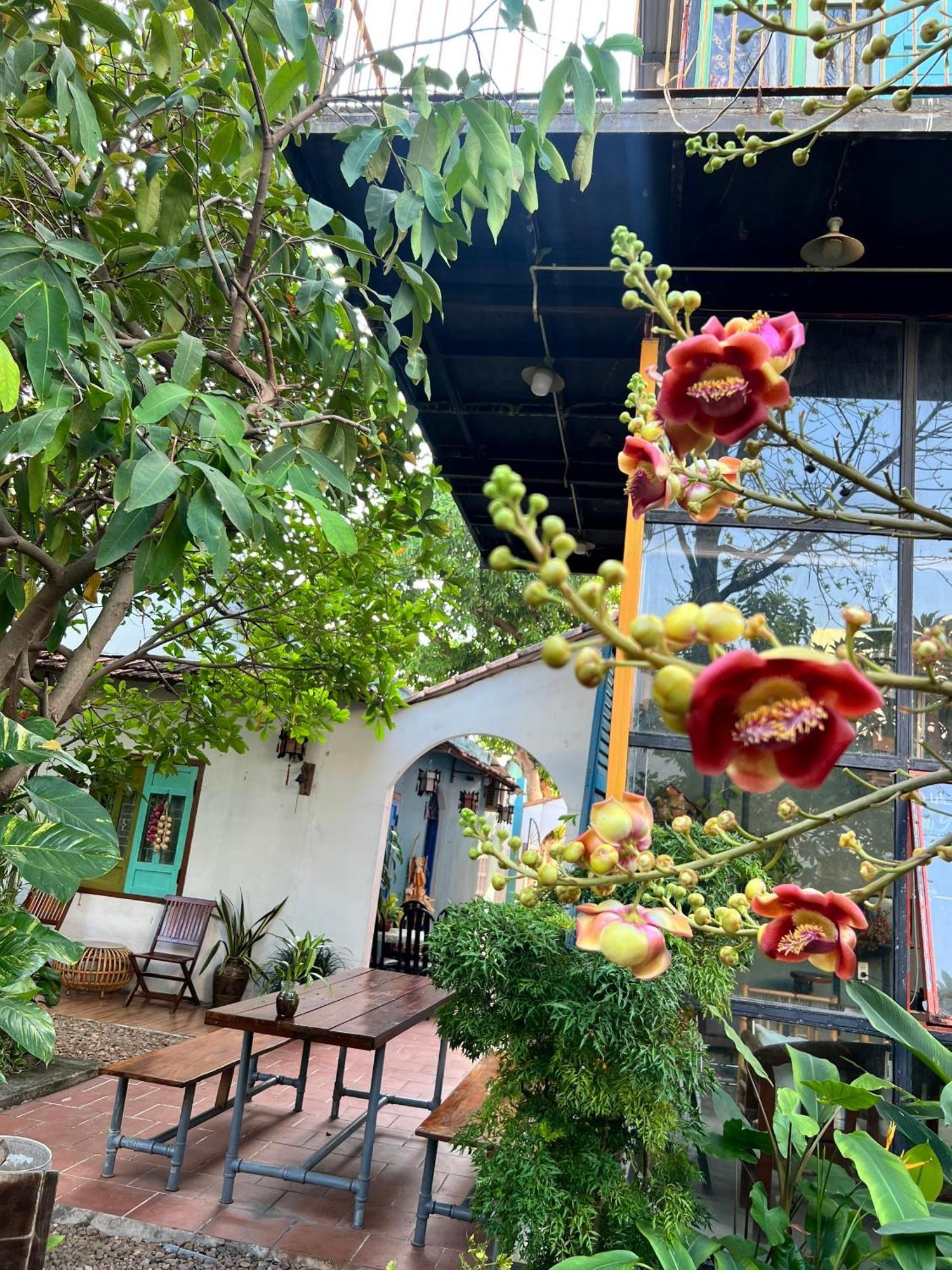 Yellow Farm Homestay Dong Tac Exterior photo